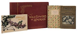 Lot of Four Books Pertaining to Botany and Botanical Illustration.