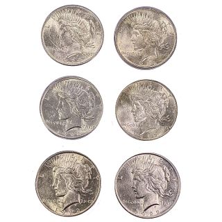 1922-2015 US Silver Peace Dollars and Chinese Pand