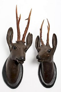 Pair of Black Forest Antler & Carved Head Plaques