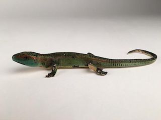 Cold painted Vienna bronze of a Lizzad.