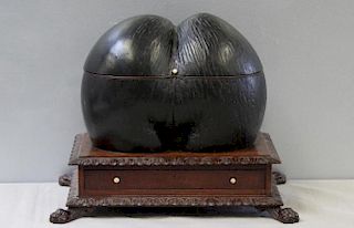 Antique Erotic Form Coco de Mer Shell Tea Caddy.