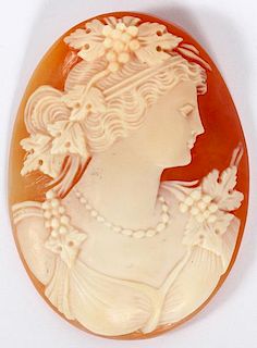 LOOSE CARVED SHELL CAMEO