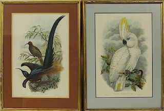 AFTER W. HART AVIARY COLOR LITHOGRAPHS TWO