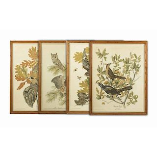 After John James Audubon, Four Prints on Cloth