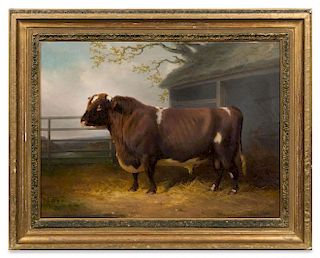 William Joseph Shayer, (British, 1811-1892), Portrait of a Bull, 1867