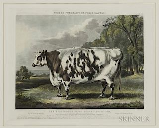 John Harris (British, c. 1791-1873), After William Henry Davis (British, c. 1783-1865), The Everingham Short Horned Prize Cow