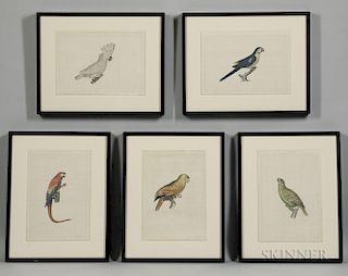 La Roche Laffitte (French, b. 1943)      Five Framed Watercolors of Parrots