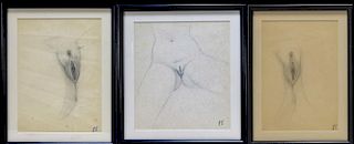3 Hanns Haas Erotic Nude Female Genitalia Drawing