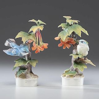 Royal Worcester Dorothy Doughty Cerulean Warblers