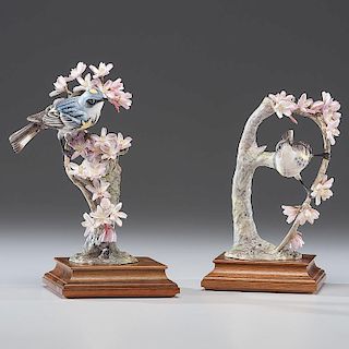 Royal Worcester Dorothy Doughty Myrtle Warblers