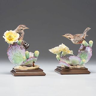 Royal Worcester Dorothy Doughty Cactus Wrens
