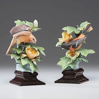 Royal Worcester Dorothy Doughty Baltimore Orioles