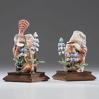 Royal Worcester Dorothy Doughty Canyon Wrens