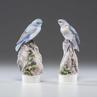 Royal Worcester Dorothy Doughty Mountain Bluebirds