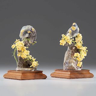 Royal Worcester Dorothy Doughty Audubon Warblers