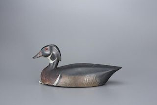 Wood Duck Drake Thomas Chambers (1860-1948)