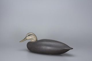 Classic Black Duck Charles E. "Shang" Wheeler (1872-1949)