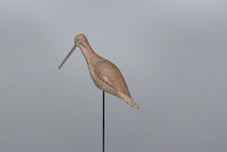 Matthews' Rig Turned-Head Dowitcher