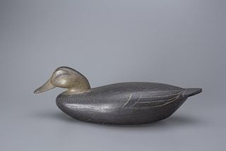 Swimming Black Duck Willard C. Baldwin (1890-1979)