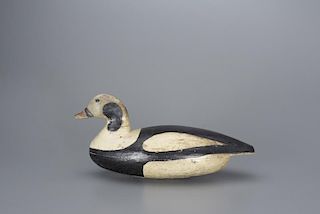 Long-Tailed Duck Drake Mark English (1872-1968)