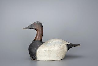 High-Head Canvasback Drake Joseph Sieger (1871-1959)