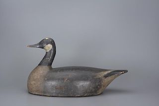 Early Canada Goose Phineas Reeves (1833-1896)