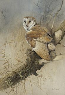 Edwin Penny (English, b. 1930) Barn Owl