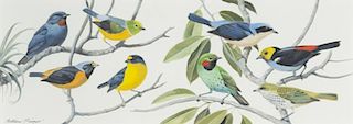 Arthur B. Singer (1917-1990) Tanagers and Euphonia