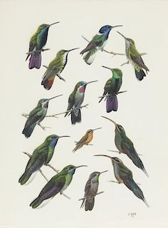 John P. O'Neill (b. 1942) Hummingbirds