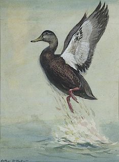 Arthur D. Fuller (1889-1966) Leaping Black Duck