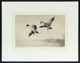 Roland H. Clark (1874-1957) Federal Duck Stamp Design
