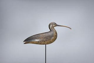 Hollow Curlew Mark S. McNair (b. 1950)