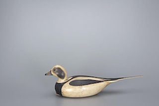 Long-Tailed Duck Mark S. McNair (b. 1950)
