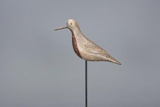 Red Knot Obediah Verity (1813-1901)