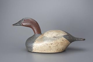 Hollow Canvasback Drake August "Gus" Moak (1852-1942)