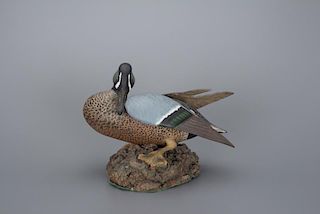 "Sunbathing" Blue-Winged Teal Drake The Ward Brothers