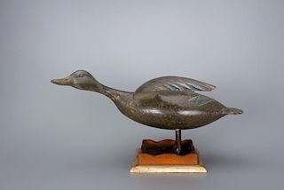 Standing Black Duck Ira D. Hudson (1873-1949)