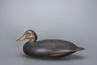 Black Duck Chris Sprague (1887-1983)