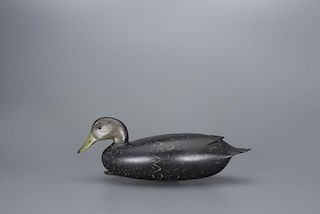 Black Duck William H. Quinn (1915-1969)