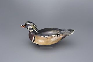 Swimming Wood Duck Drake Jim Schmiedlin (1945-2015)