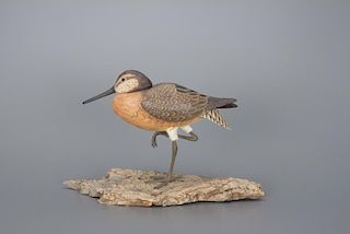 Dowitcher Del Smith