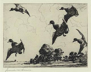 Frank W. Benson (1862-1951) On Set Wings (Frontispiece)