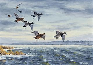 David A. Maass (b. 1929) River Birds - Bluebills