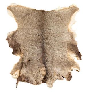 A Deer Hide Rug. Length approximately 52 inches.