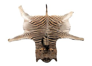 Taxidermy Zebra Pelt Rug