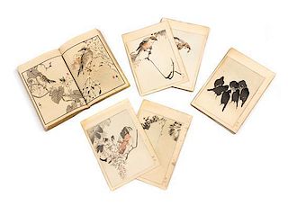 Various Artists, , Kono Bairei (1844-1895) Picture Album of One Hundred Birds, volume 1 of 2, 1884 Watanabe Seitei (1851-1918) P