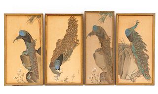Collection of 4 Peacock Woodblock Prints