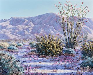 Kerry Kinman | Anza-Borrego Desert Blossoms