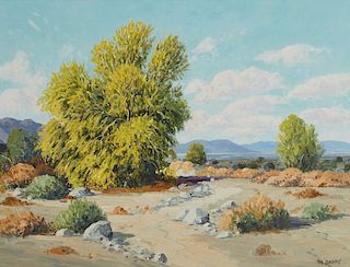 Carl Sammons | Palo Verde Trees in Bloom - Palm Springs, California
