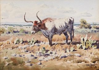 James Boren | A Texas Longhorn